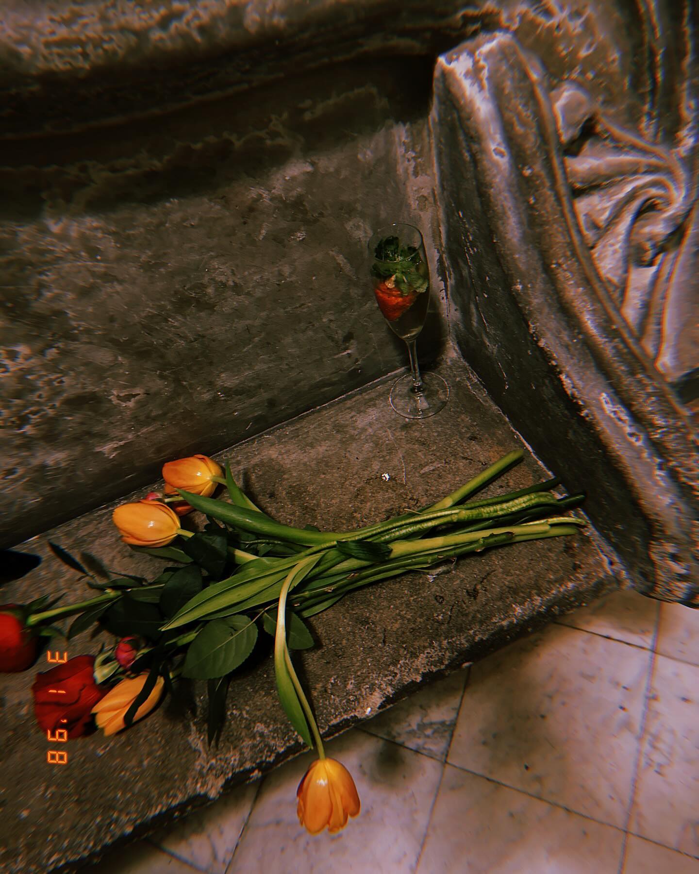 miav.me instagram image archive image