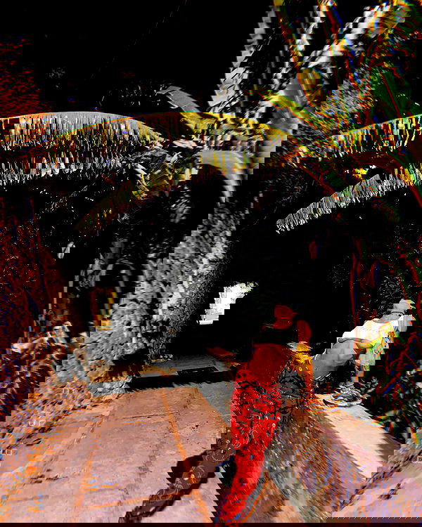 miav.me image ~ Altpins