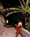 miav.me Altpins Profile Picture