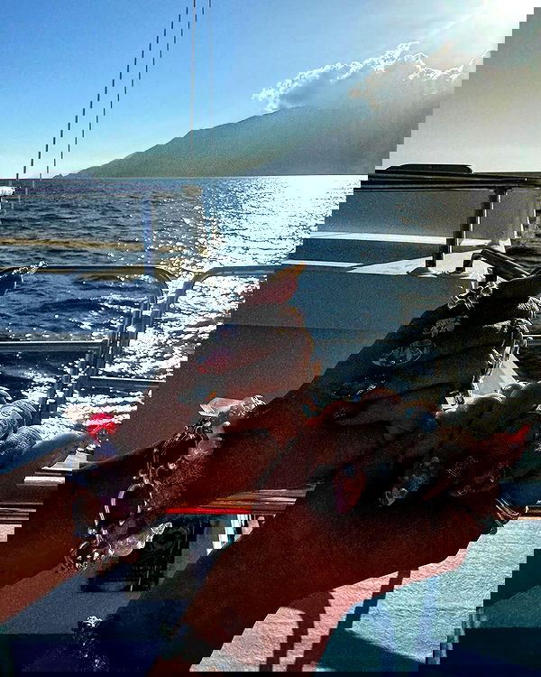 miav.me image ~ Altpins