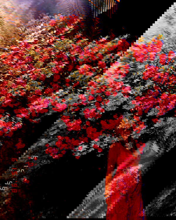 miav.me image ~ Altpins