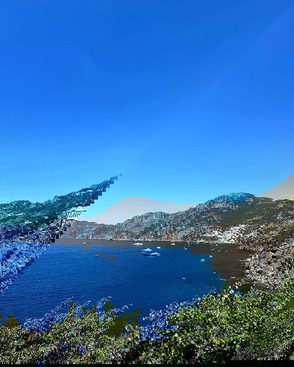 miav.me image ~ Altpins