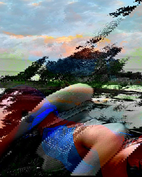 miav.me image ~ Altpins