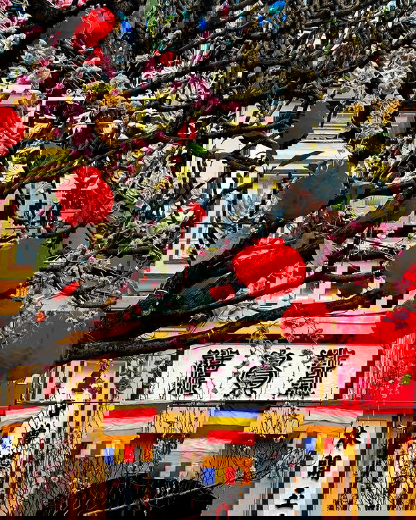 miav.me image ~ Altpins