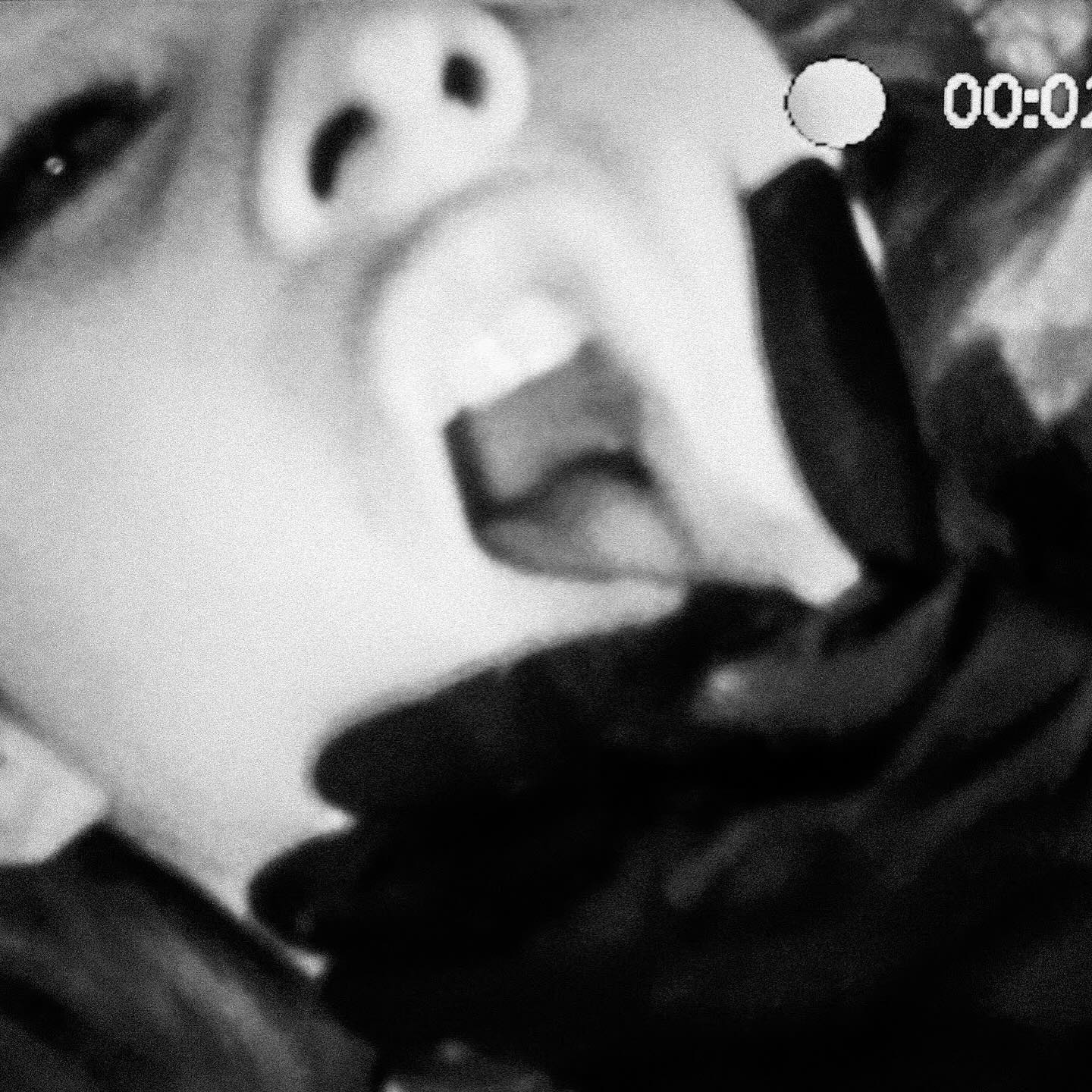 miav.me instagram image archive image