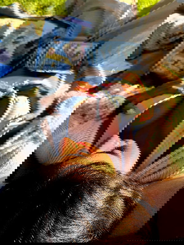 miav.me image ~ Altpins