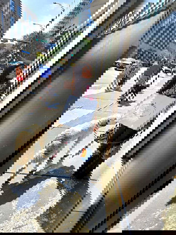 miav.me image ~ Altpins