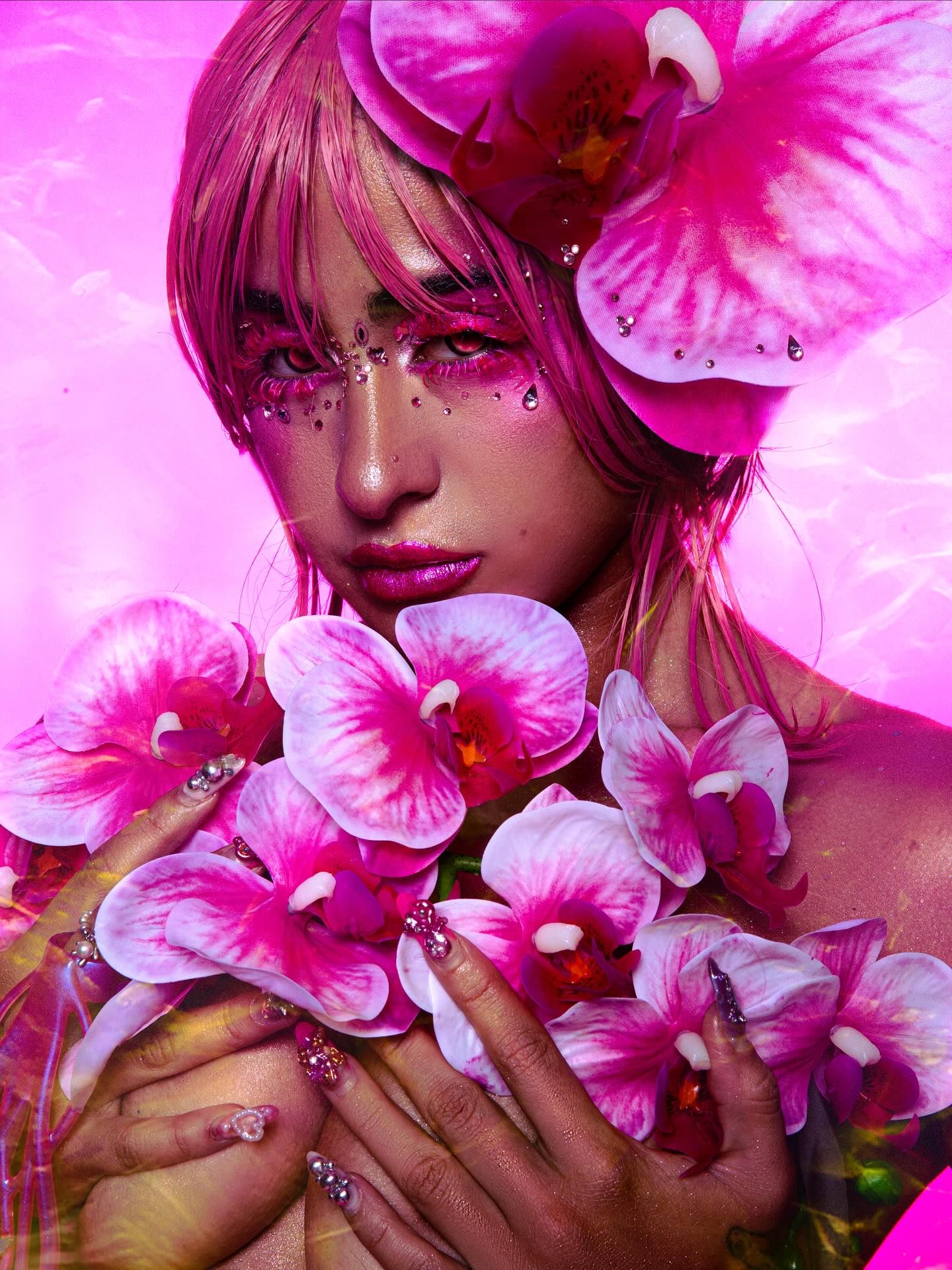 miav.me instagram image archive image