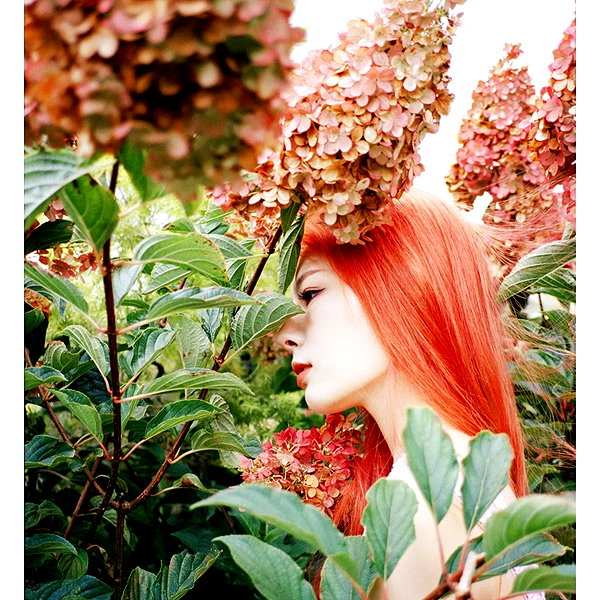 miisu000 instagram image archive image