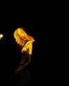 miisu000 Altpins Profile Picture