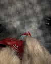 mikaela.lesikar Altpins Profile Picture