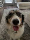 mikaela.lesikar Altpins Profile Picture