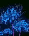 mikaleska_mikink Altpins Profile Picture