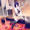mikomihokina Altpins Profile Picture