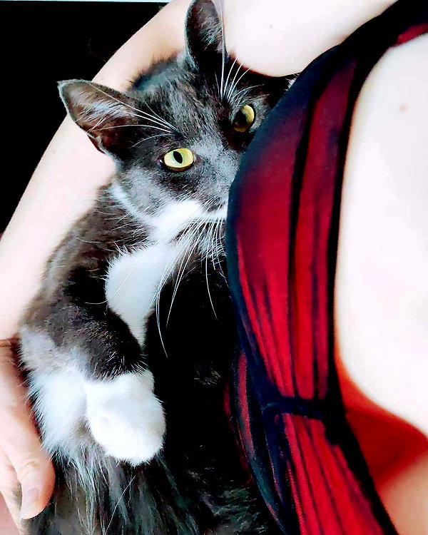 mikomihokina instagram image archive image