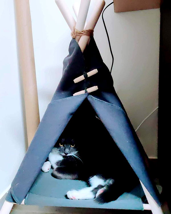 mikomihokina instagram image archive image