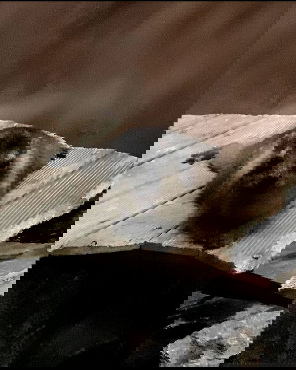 milkgore milkgore archive image