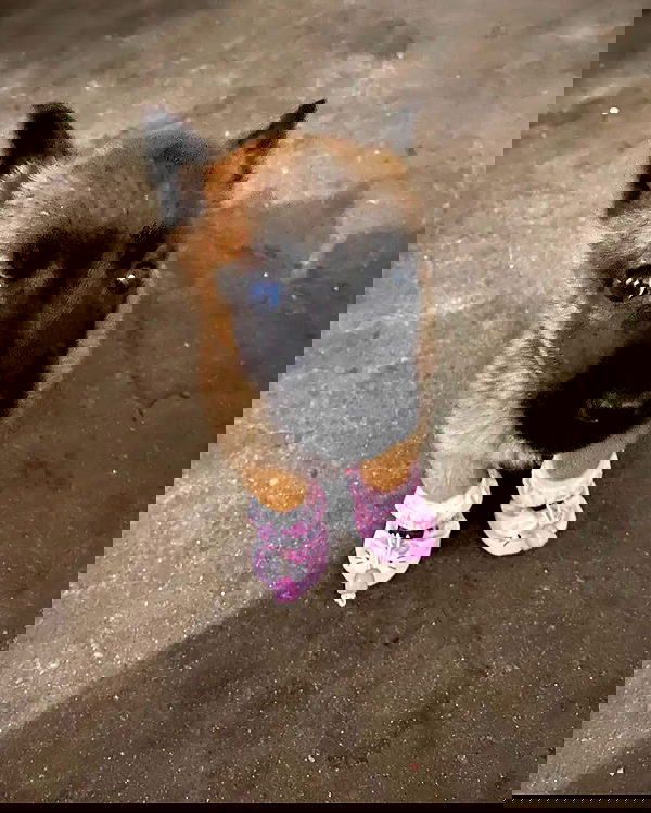 milkgore milkgore archive image