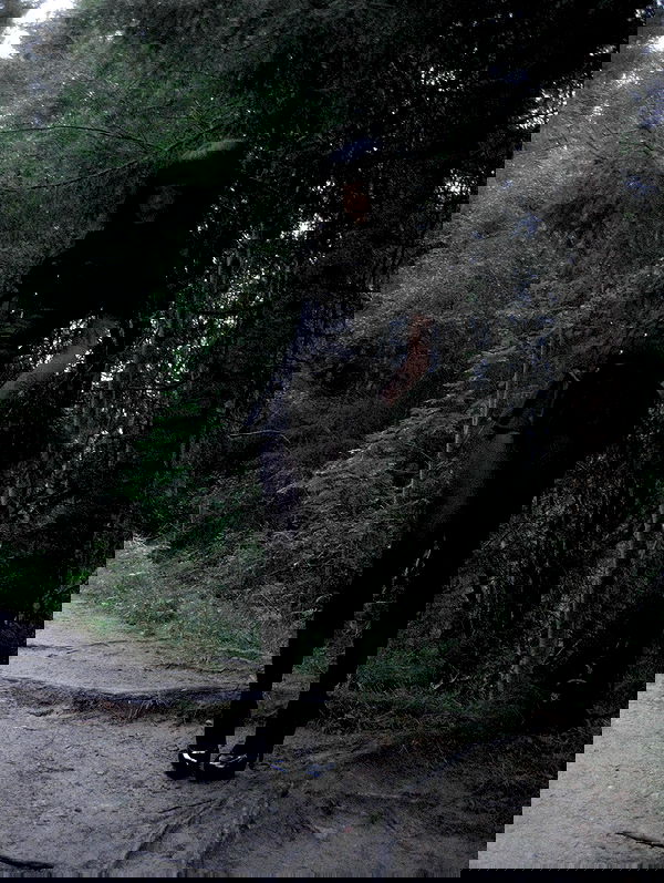 milkgore milkgore archive image