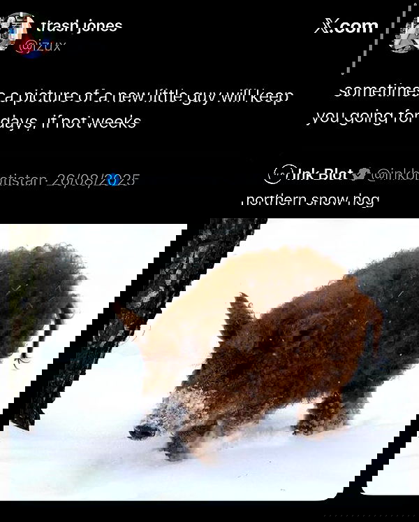 milkgore milkgore archive image