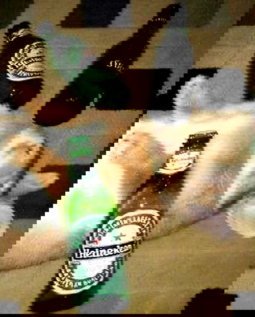 milkgore milkgore archive image