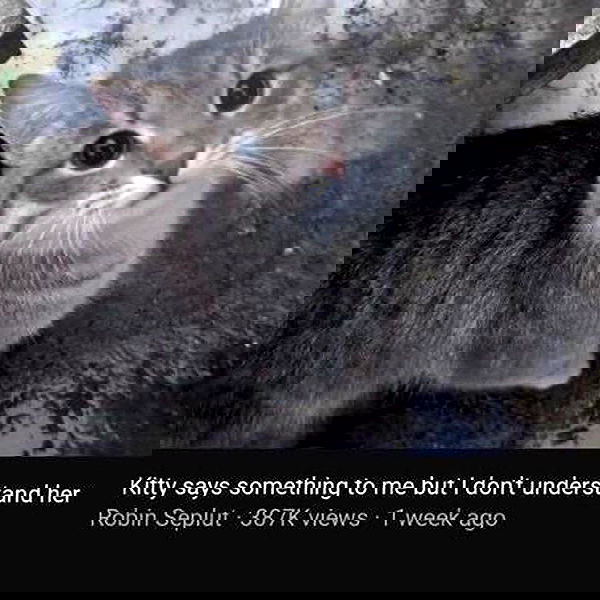 milkgore milkgore archive image