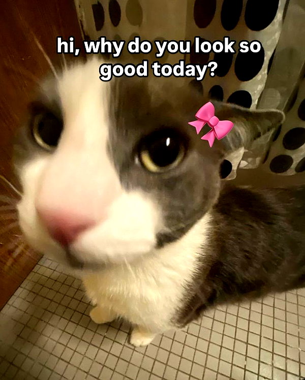milkibunshehe instagram image archive image