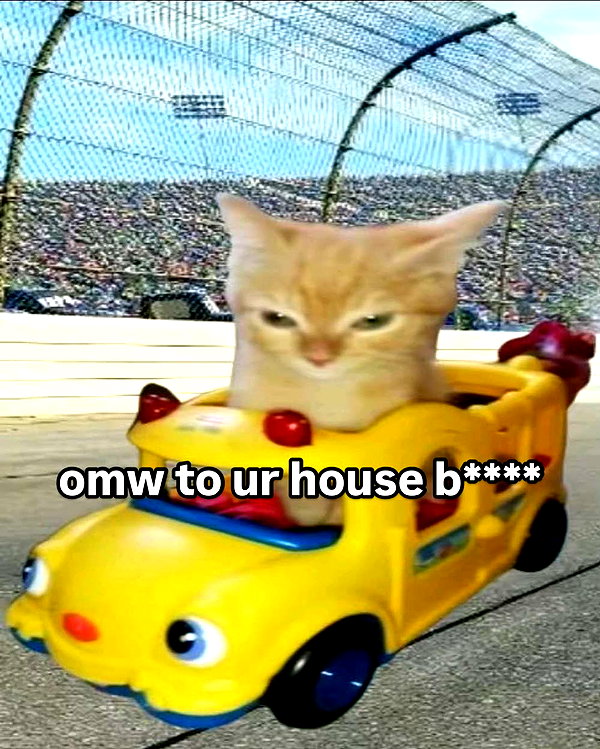 milkibunshehe instagram image archive image
