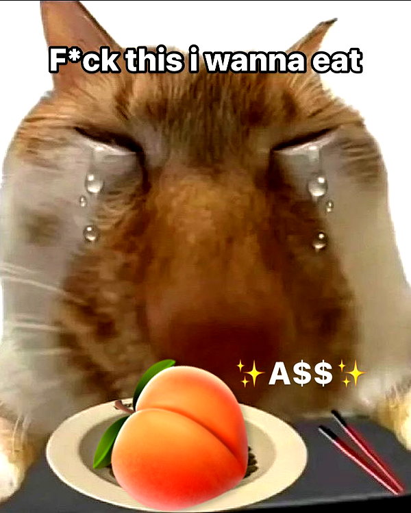milkibunshehe instagram image archive image