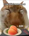 milkibunshehe Altpins Profile Picture
