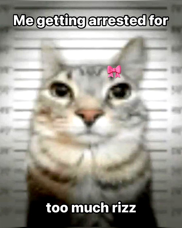 milkibunshehe instagram image archive image