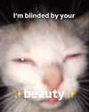 milkibunshehe Altpins Profile Picture