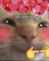 milkibunshehe Altpins Profile Picture