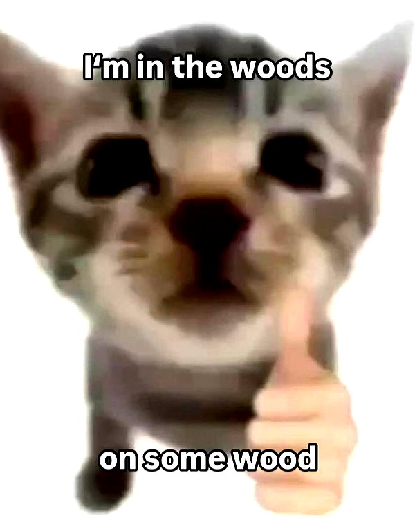 milkibunshehe instagram image archive image