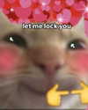 milkibunshehe Altpins Profile Picture