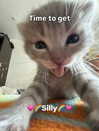 milkibunshehe Altpins Profile Picture