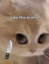 milkibunshehe Altpins Profile Picture