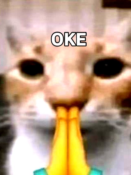 milkibunshehe instagram image archive image