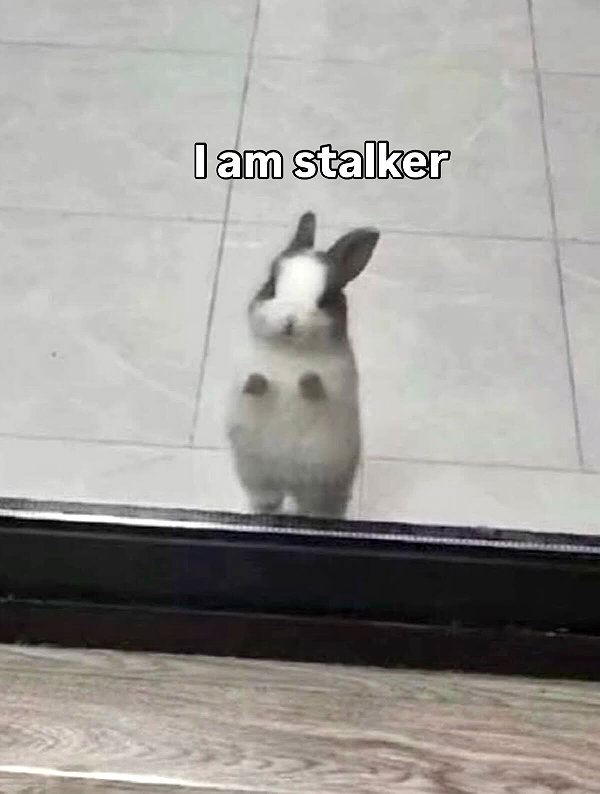 milkibunshehe instagram image archive image