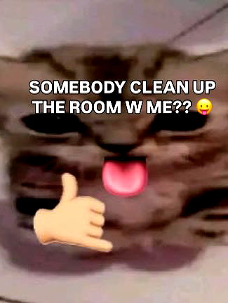 milkibunshehe instagram image archive image