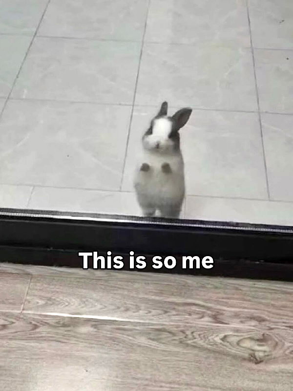 milkibunshehe instagram image archive image