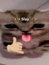 milkibunshehe Altpins Profile Picture