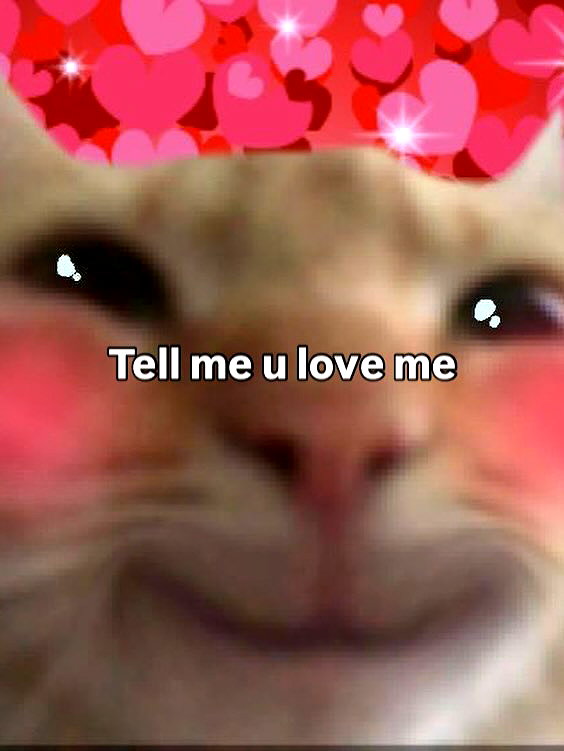 milkibunshehe instagram image archive image