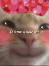 milkibunshehe Altpins Profile Picture