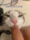 milkibunshehe Altpins Profile Picture