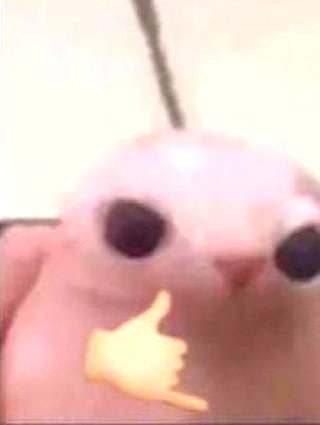 milkibunshehe instagram image archive image