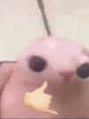 milkibunshehe Altpins Profile Picture