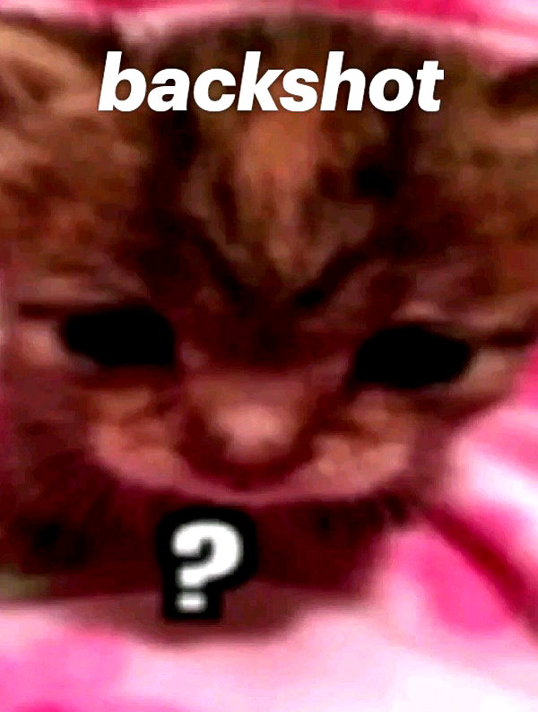 milkibunshehe instagram image archive image