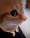 milkimind Altpins Profile Picture