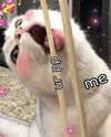 milkimind Altpins Profile Picture